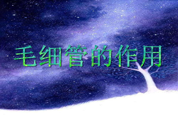 毛细管是作用