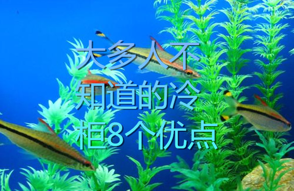 大多人不知道的冷柜8个优点