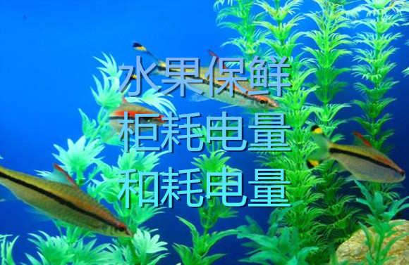 水果保鲜柜耗电量和耗电量