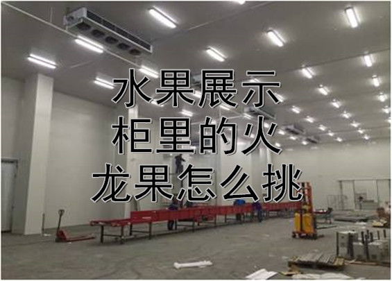 水果展示柜里的火龙果怎么挑