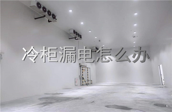冷柜漏电怎么办