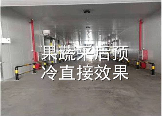 果蔬采后预冷直接效果
