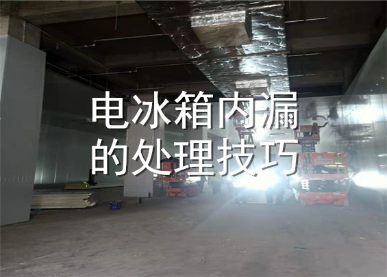 电冰箱内漏的处理技巧