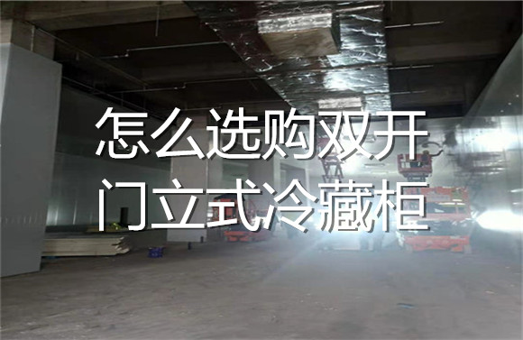 怎么选购双开门立式冷藏柜