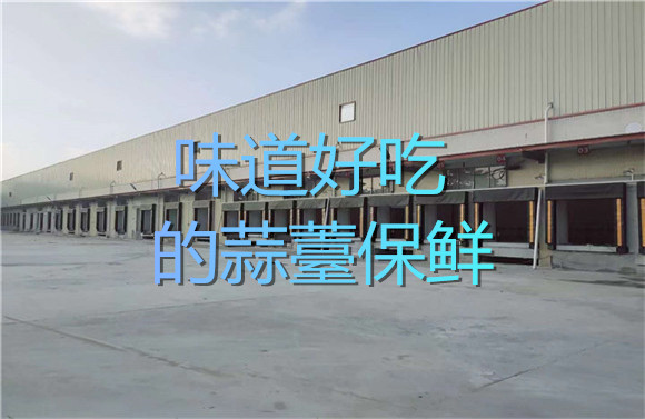 味道好吃的蒜薹保鲜