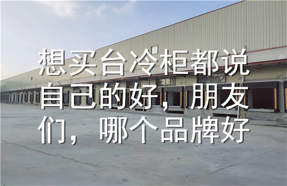 想买台冷柜都说自己的好，朋友们，哪个品牌好？