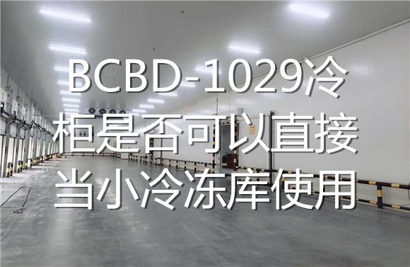 BCBD-1029冷柜是否可以直接当小冷冻库使用