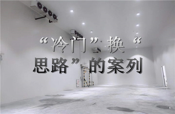 “冷门”换“思路”的案列