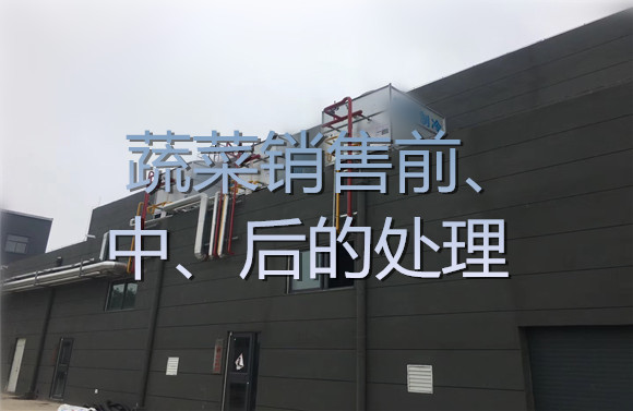 蔬菜销售前、中、后的处理